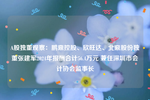 A股独董观察：鹏鼎控股、欣旺达、北鼎股份独董张建军2024年报酬合计56.4万元 兼任深圳市会计协会监事长