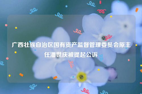 广西壮族自治区国有资产监督管理委员会原主任潘世庆被提起公诉