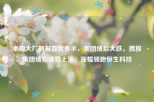 本周大厂财报喜忧参半，美团绩后大跌，携程集团绩后强势上涨，涨幅领跑恒生科技