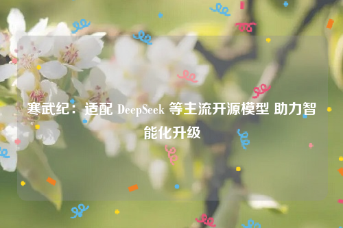 寒武纪：适配 DeepSeek 等主流开源模型 助力智能化升级