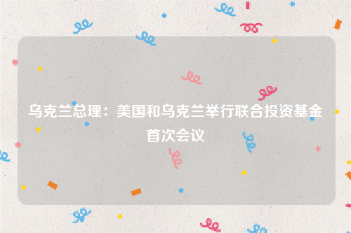 乌克兰总理：美国和乌克兰举行联合投资基金首次会议
