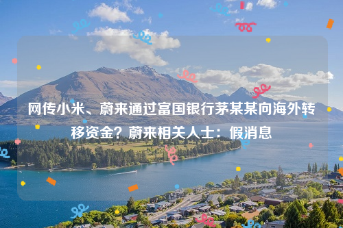 网传小米、蔚来通过富国银行茅某某向海外转移资金？蔚来相关人士：假消息