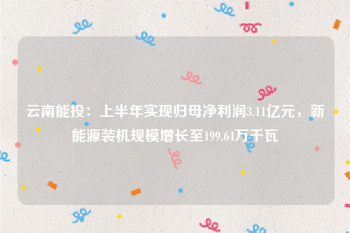 云南能投：上半年实现归母净利润3.11亿元，新能源装机规模增长至199.64万千瓦