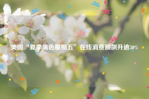 美国“夏季黑色星期五”在线消费额飙升逾30%