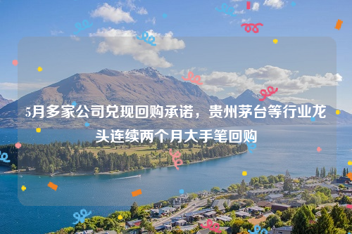 5月多家公司兑现回购承诺，贵州茅台等行业龙头连续两个月大手笔回购