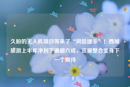 久盼的无人机项目等来了“风险提示”！西域旅游上半年净利下滑超六成，资源整合变身下一个期待