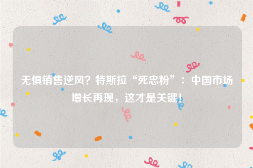 无惧销售逆风？特斯拉“死忠粉”：中国市场增长再现，这才是关键！