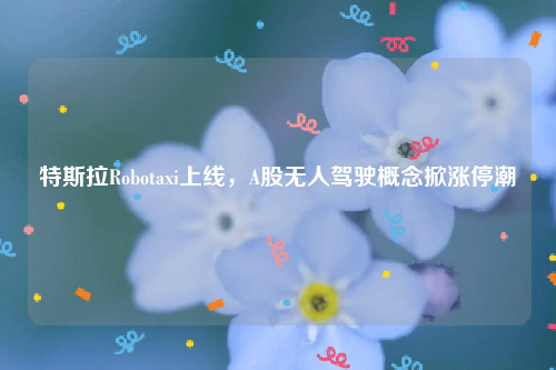 特斯拉Robotaxi上线，A股无人驾驶概念掀涨停潮