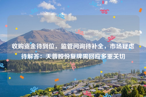 收购资金待到位，监管问询待补全，市场疑虑待解答：天普股份复牌需回应多重关切