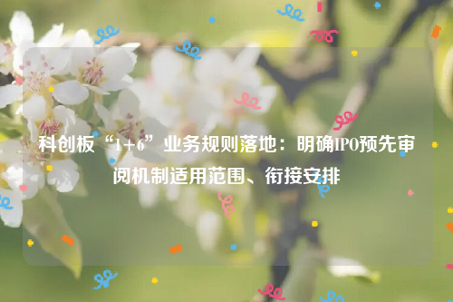 科创板“1+6”业务规则落地：明确IPO预先审阅机制适用范围、衔接安排