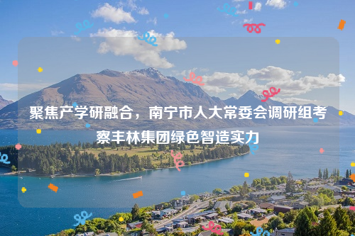 聚焦产学研融合，南宁市人大常委会调研组考察丰林集团绿色智造实力