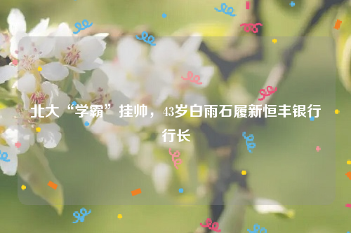 北大“学霸”挂帅，43岁白雨石履新恒丰银行行长