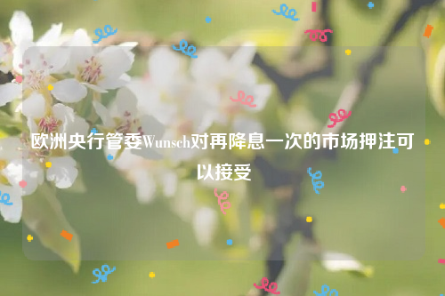 欧洲央行管委Wunsch对再降息一次的市场押注可以接受