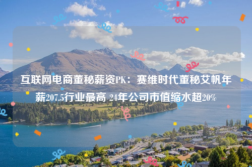 互联网电商董秘薪资PK：赛维时代董秘艾帆年薪207.5行业最高 24年公司市值缩水超20%