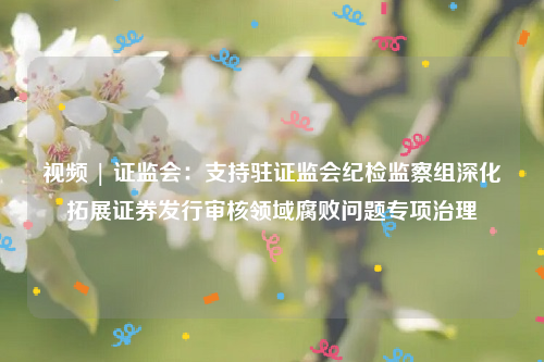 视频 | 证监会：支持驻证监会纪检监察组深化拓展证券发行审核领域腐败问题专项治理