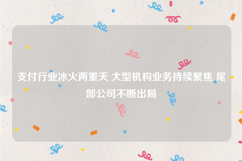 支付行业冰火两重天 大型机构业务持续聚焦 尾部公司不断出局