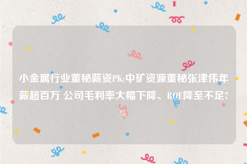 小金属行业董秘薪资PK:中矿资源董秘张津伟年薪超百万 公司毛利率大幅下降、ROE降至不足7%