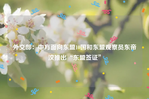 外交部：中方面向东盟10国和东盟观察员东帝汶推出“东盟签证”