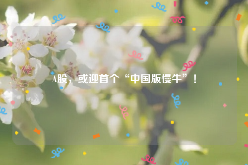 A股，或迎首个“中国版慢牛”！
