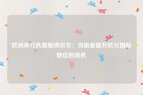 欧洲央行执委施纳贝尔：当前是提升欧元国际地位的良机
