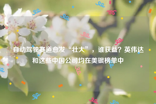 自动驾驶赛道愈发“壮大”，谁获益？英伟达和这些中国公司均在美银榜单中