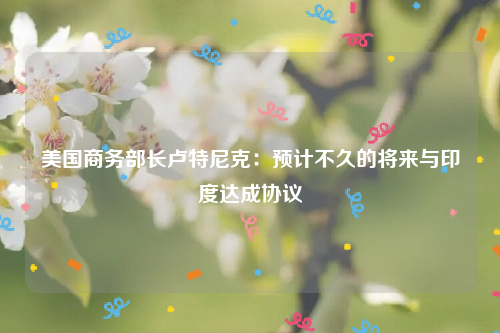 美国商务部长卢特尼克：预计不久的将来与印度达成协议
