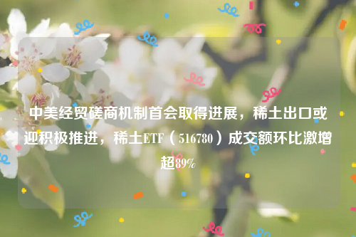 中美经贸磋商机制首会取得进展，稀土出口或迎积极推进，稀土ETF（516780）成交额环比激增超89%