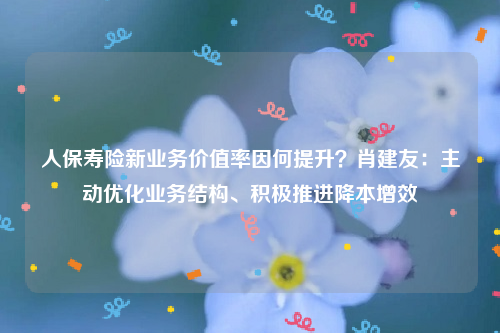 人保寿险新业务价值率因何提升？肖建友：主动优化业务结构、积极推进降本增效