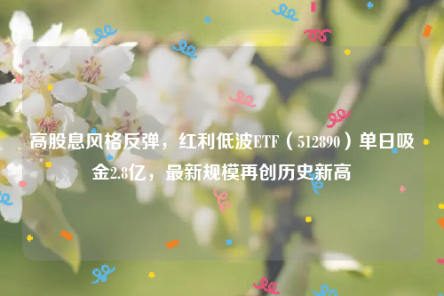 高股息风格反弹，红利低波ETF（512890）单日吸金2.8亿，最新规模再创历史新高