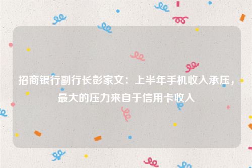 招商银行副行长彭家文：上半年手机收入承压，最大的压力来自于信用卡收入