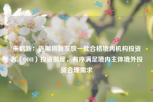 朱鹤新：近期将新发放一批合格境内机构投资者（QDII）投资额度，有序满足境内主体境外投资合理需求