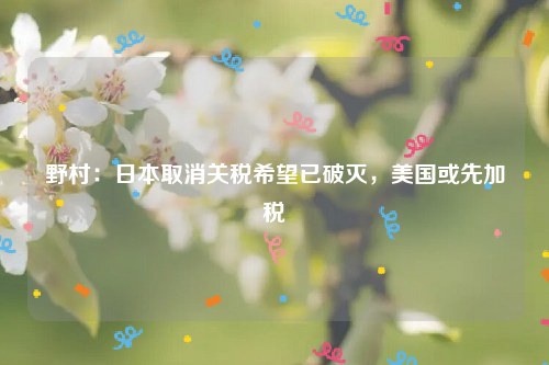 野村：日本取消关税希望已破灭，美国或先加税