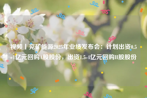 视频丨兖矿能源2025年业绩发布会：计划出资0.5-1亿元回购A股股份，出资1.5-4亿元回购H股股份