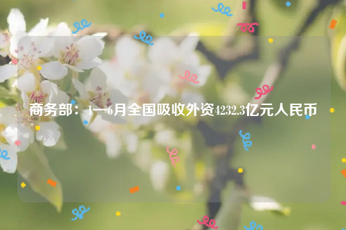 商务部：1—6月全国吸收外资4232.3亿元人民币