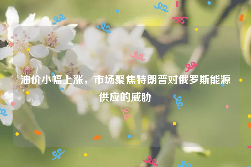 油价小幅上涨，市场聚焦特朗普对俄罗斯能源供应的威胁