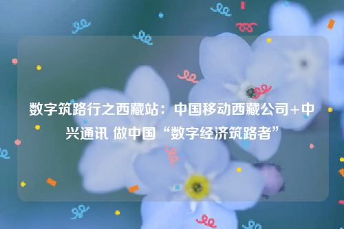 数字筑路行之西藏站：中国移动西藏公司+中兴通讯 做中国“数字经济筑路者”