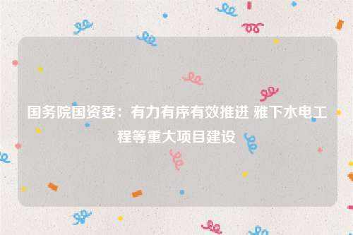 国务院国资委：有力有序有效推进 雅下水电工程等重大项目建设