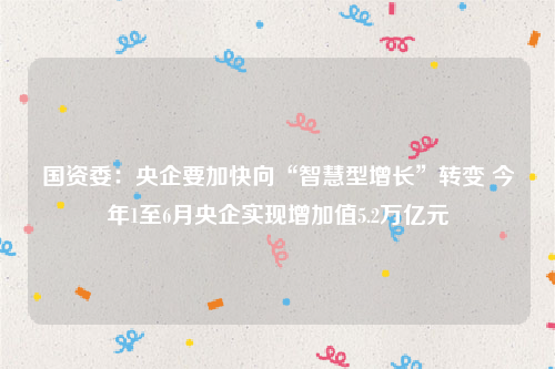 国资委：央企要加快向“智慧型增长”转变 今年1至6月央企实现增加值5.2万亿元