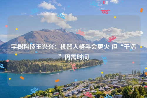 宇树科技王兴兴：机器人格斗会更火 但“干活”仍需时间