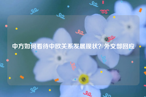 中方如何看待中欧关系发展现状？外交部回应