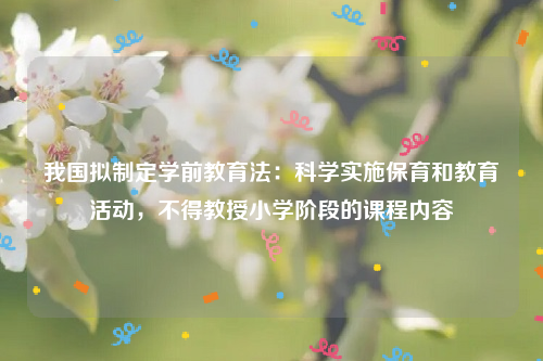 我国拟制定学前教育法：科学实施保育和教育活动，不得教授小学阶段的课程内容