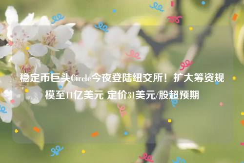 稳定币巨头Circle今夜登陆纽交所！扩大筹资规模至11亿美元 定价31美元/股超预期
