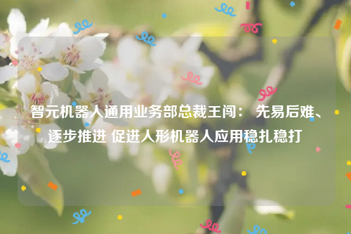智元机器人通用业务部总裁王闯： 先易后难、逐步推进 促进人形机器人应用稳扎稳打