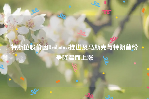 特斯拉股价因Rrobotaxi推进及马斯克与特朗普纷争降温而上涨