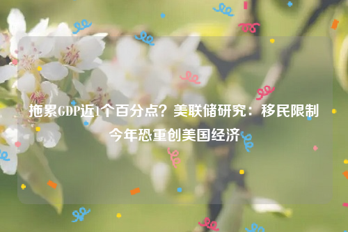 拖累GDP近1个百分点？美联储研究：移民限制今年恐重创美国经济