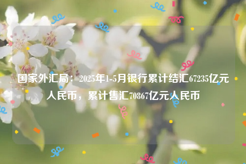 国家外汇局：2025年1-5月银行累计结汇67235亿元人民币，累计售汇70867亿元人民币