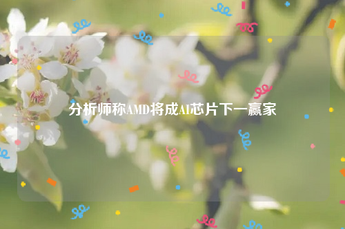 分析师称AMD将成AI芯片下一赢家