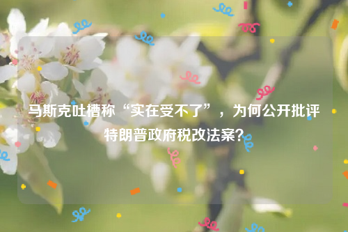 马斯克吐槽称“实在受不了”，为何公开批评特朗普政府税改法案？
