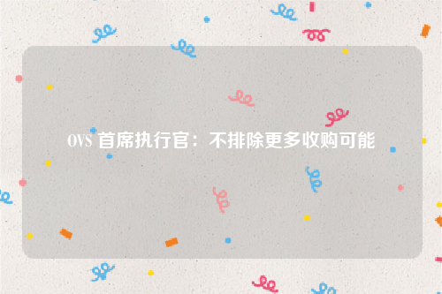 OVS 首席执行官：不排除更多收购可能