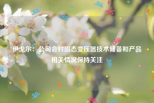 伊戈尔：公司会对固态变压器技术储备和产品相关情况保持关注